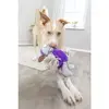 Plush toy Trixie Monster Photo 4