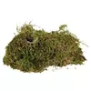 Pet Food Trixie 76155 Photo 4