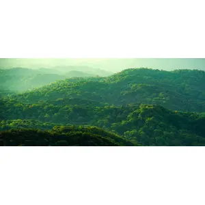 Environmentally-forward thinking