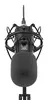 Студийный микрофон GENESIS Radium 400 G2 Photo 4