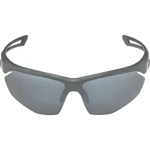 Очки ALPINA NYLOS HR MIDNIGHT-GREY MATT с линзой SILVER MIRROR категории 3