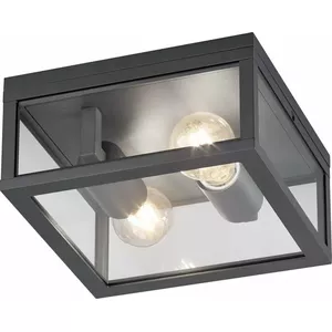 Ceiling light TRIO GARONNE 601860242 — outdoor/terrace graphite finish