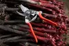 Секатор Felco 14 Photo 3