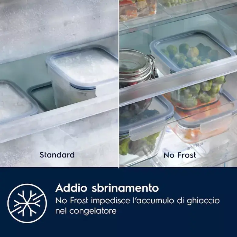 Electrolux LNT6NE18S built-in refrigerator 257 L Photo 2