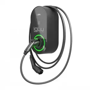 AC-зарядное IGLU TECH CHARGE PRO C320002000/H01 — без подогрева и счётчика