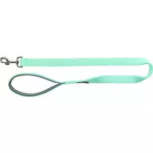 Dog Leash Trixie Premium L–XL, Mint — 1.00 m length, 25 mm width