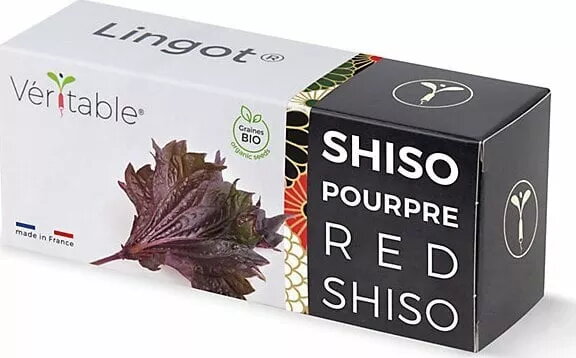 Veritable Lingot Fialový shiso - BIO