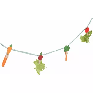 Hanging Treat String for Rabbits ZOLUX NEOLIFE 150 cm