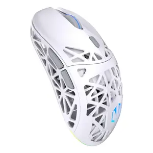 Беспроводная игровая мышь ENDORFY LIV Onyx White — Bluetooth/2.4 ГГц, 12000 DPI, амбидекстр, aRGB подсветка, 6 кнопок, USB-A/USB-C
