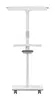 Nobo Move & Meet Mobile Magnetic Flipchart Easel Photo 14