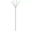 Network Cable Goobay CAT 5e Photo 3