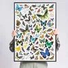 Пазл CzuCzu Puzzlove Butterflies 1000 деталей Photo 4
