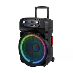 Active Speaker Cabinet KM1718 60 Watt