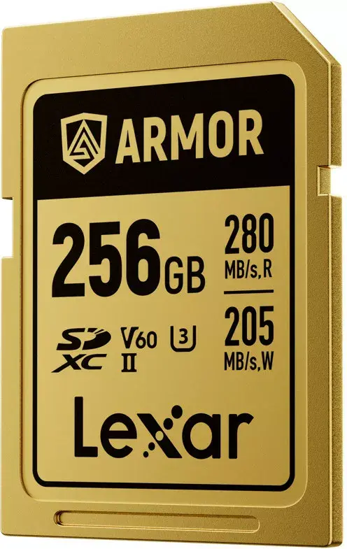 Флеш-память Lexar 256GB LSDAMGL256G-RNNNG Photo 2