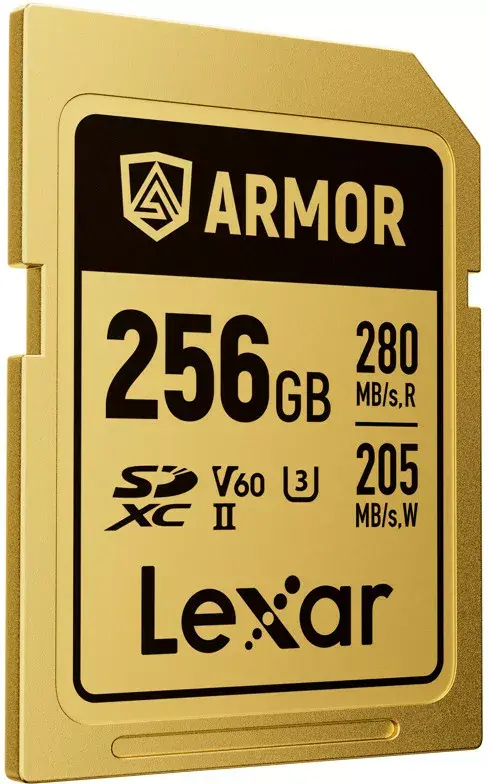 Флеш-память Lexar 256GB LSDAMGL256G-RNNNG Photo 3