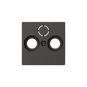 Schneider Electric WDE003845 Exxact Cover Plate for Radio, TV, and Satellite Sockets