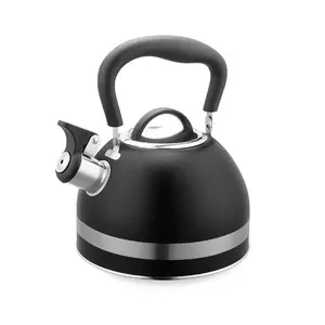 Electric kettle Maestro MR-1336 1.8 L 2200 W, stainless steel housing, manual lid, hinged whistle