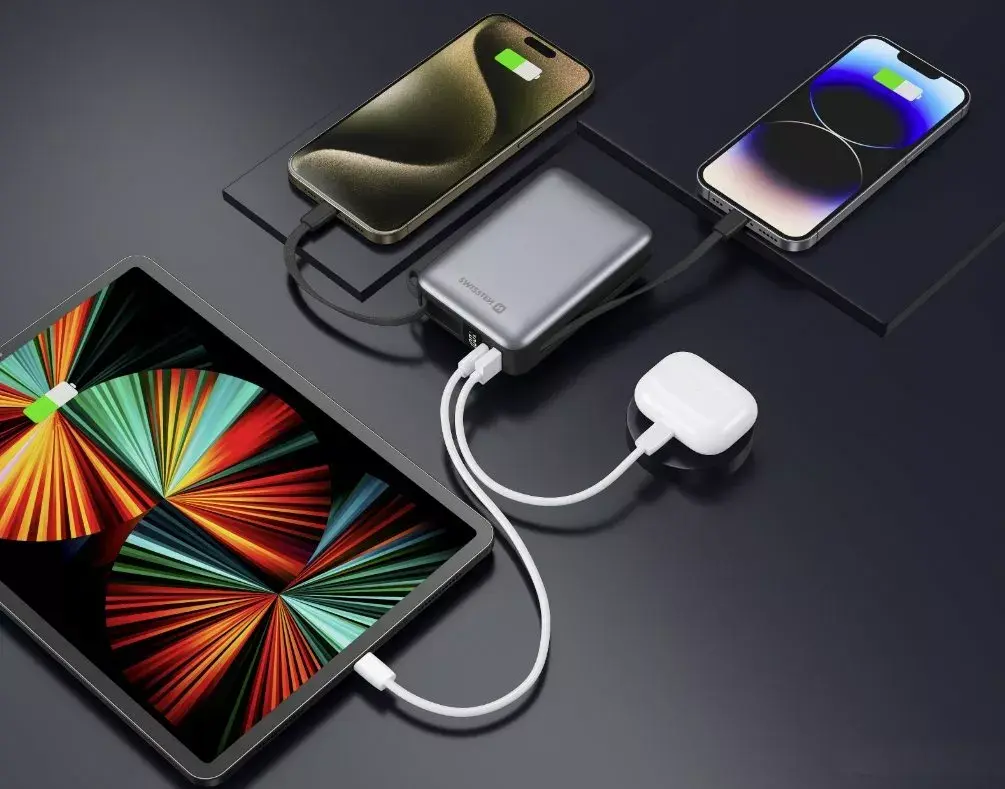 Portable Power Bank Swissten 22013945 Photo 4