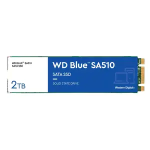 SSD Western Digital Blue SA510 2 TB M.2 SATA III Read 560 MB/s Write 510 MB/s
