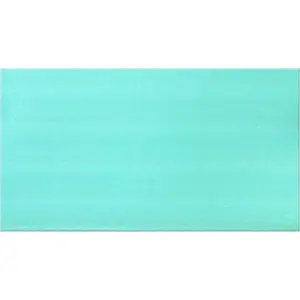 Exercise Mat Master MATA GIMNASTYCZNA MASTER DO AEROBIKU 90 x 50 cm