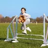 Hobby Horse Tootiny HOPPIHORSE A3 Chestnut Photo 10