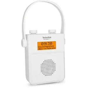 Портативное радио TechniSat DIGITRADIO 30 - V2 Аналоговое и цифровое DAB+ FM