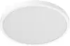Xiaomi Smart Ceiling Light D40 Wi-Fi 45W Photo 2