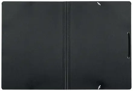 Folder LEITZ 39080095 — cardboard A4 Photo 3