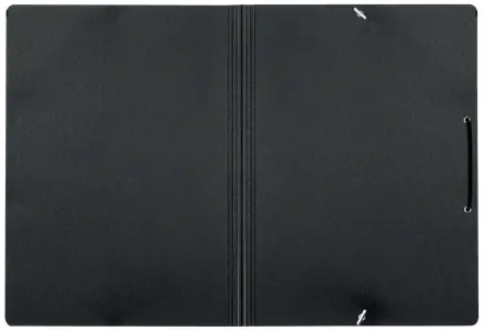 LEITZ Recycle A4 Card Folder with Elastic Bands Photo 3