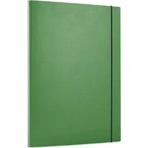 Folder with elastic closure Staples OB2037 — eco green winged document folder