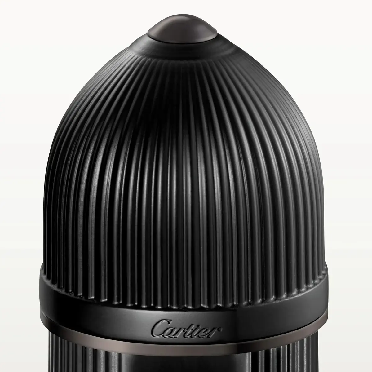 Cartier Pasha de Noir Absolu Parfum 100 ml Photo 2