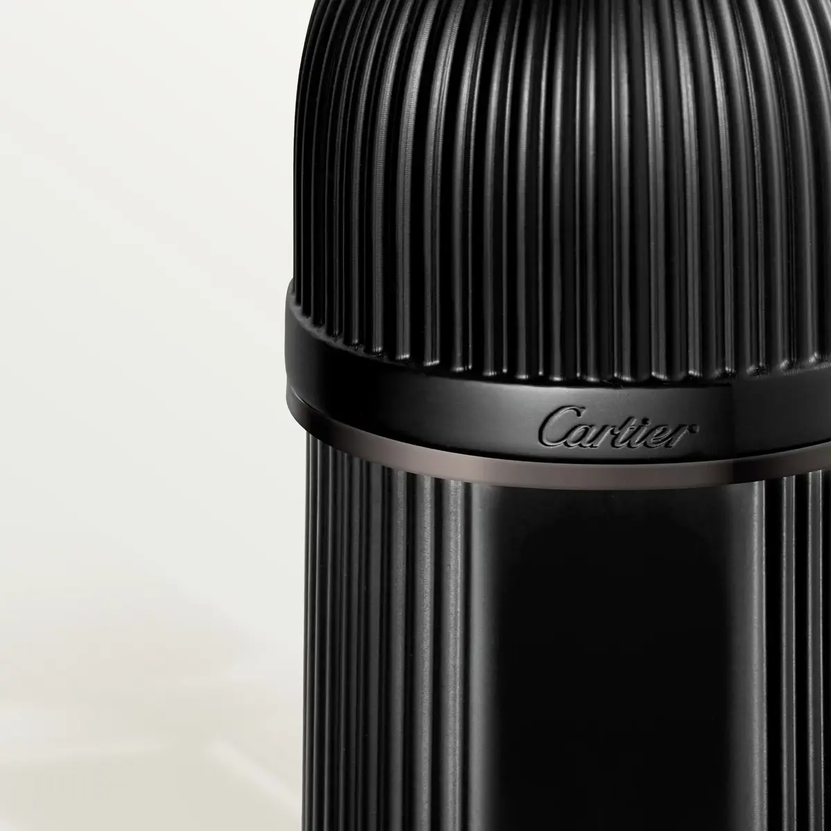Cartier Pasha de Noir Absolu Parfum 100 ml Photo 3