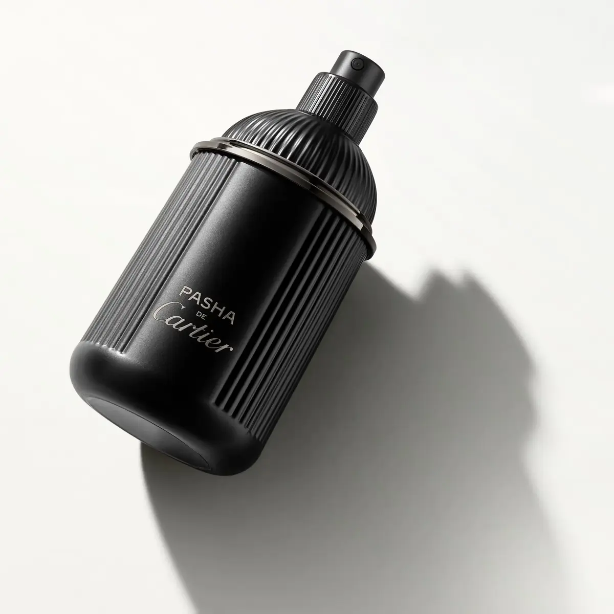 Cartier Pasha de Noir Absolu Parfum 100 ml Photo 7