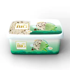 mr big MR.BIG Mint and Vanilla Flavored Cream Ice Cream with Chocolate Chips 1.4L