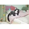 Кукольный питомец BABY born Моя кошка Куки Photo 9