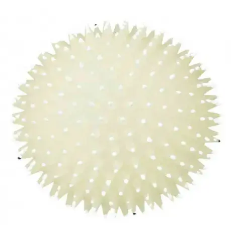 Bumba Trixie Hedgehog Ball Photo 2