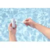 Vakuuma galvas komplekts Bestway AquaClear Photo 3