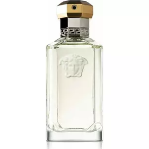Eau de Toilette VERSACE The Dreamer 100 ml — men's fragrance, 100 ml spray