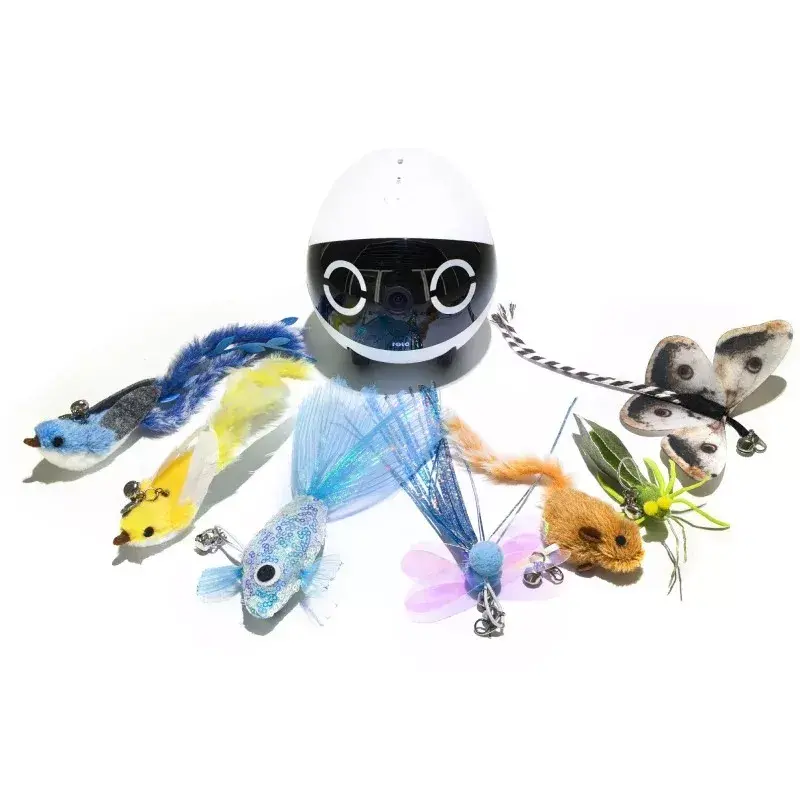 Enabot ROLA Mini интерактивный игрушечный поводок Photo 2