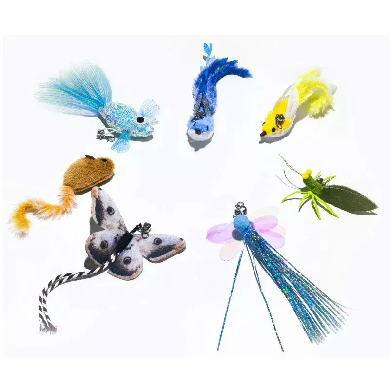 Enabot ROLA Mini интерактивный игрушечный поводок Photo 3