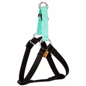 Dog harness DINGO FRED adjustable energy tape mint size 70