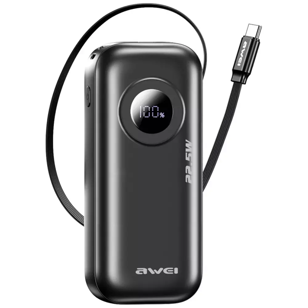 Portable Power Bank AWEI PA-9 10000mAh Photo 3