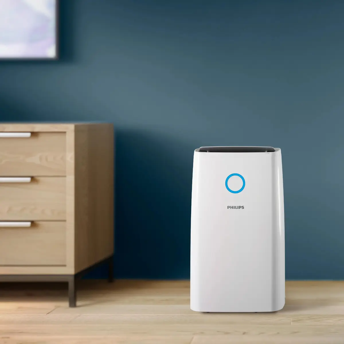 Philips 3000 series DE3306/11 Dehumidifier Photo 4