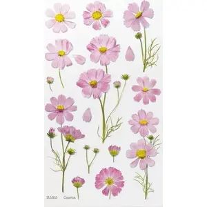 Decorative Flower Stickers Appree Kosmos Aster – sheet of floral adhesive decals