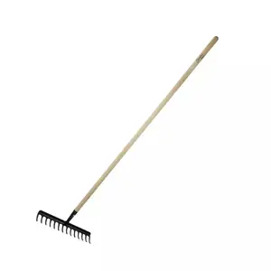 Garden rake Dedra 80C052 — 1 piece, metal tines, hand tool for soil and debris