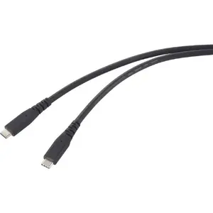 USB cable Renkforce RF-6662040 USB4 Gen 2x2 1 m USB C Black