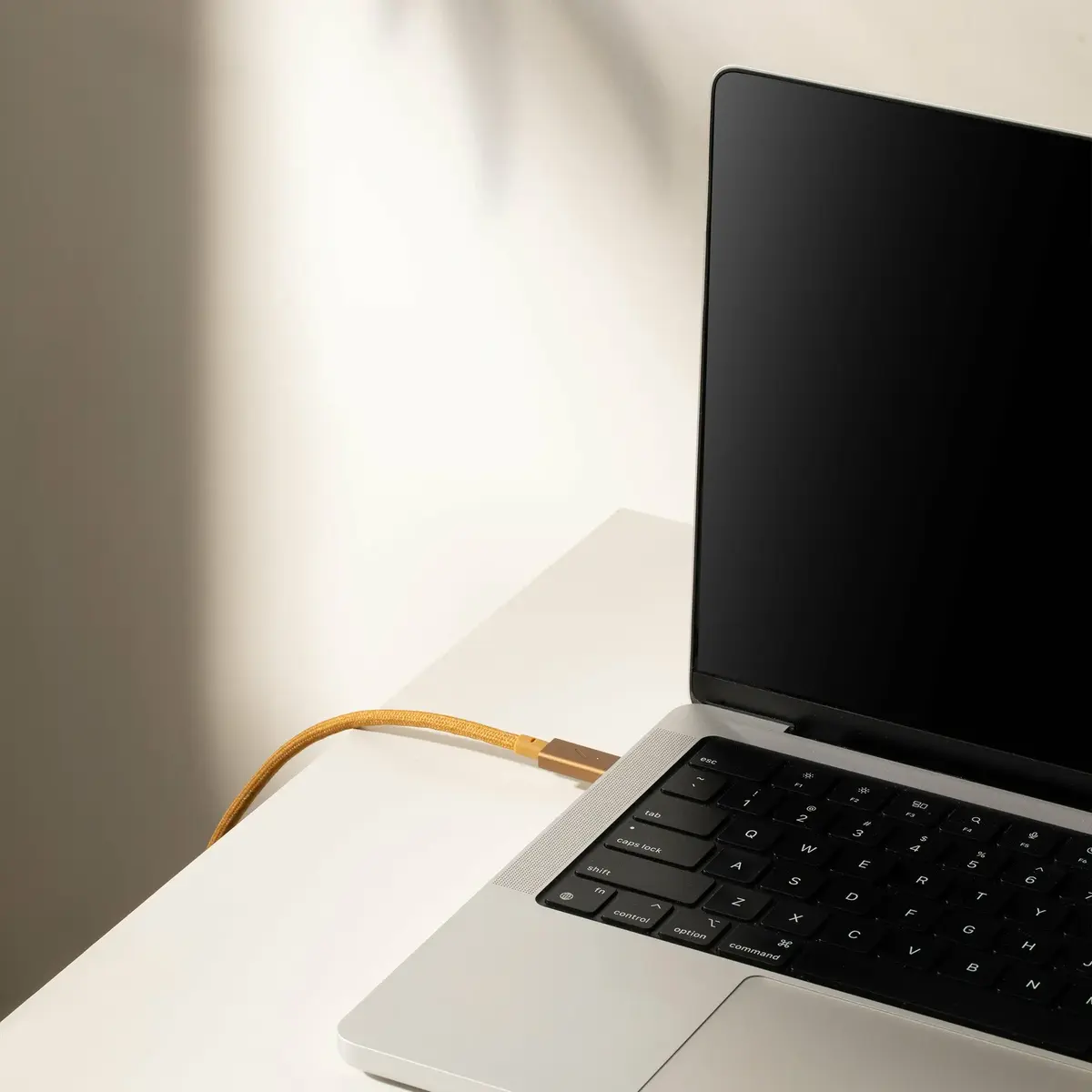 Кабель USB Native Union Belt USB-C 2,4 м USB 2.0 коричневый Photo 4