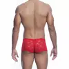 Боксер Mob RED LACE D-243522 Photo 3