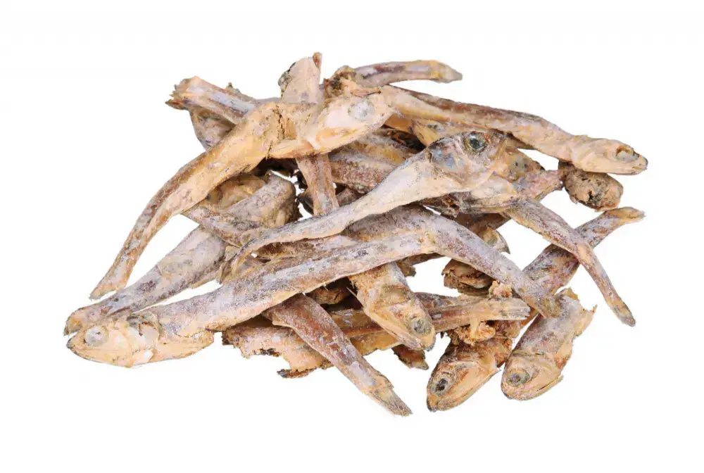 Kaķu gardumi Trixie TRIXIE 2805 50 g Photo 2
