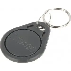 RFID key fob Atlo ATLO-504N/G — proximity access token, passive 13.56 MHz